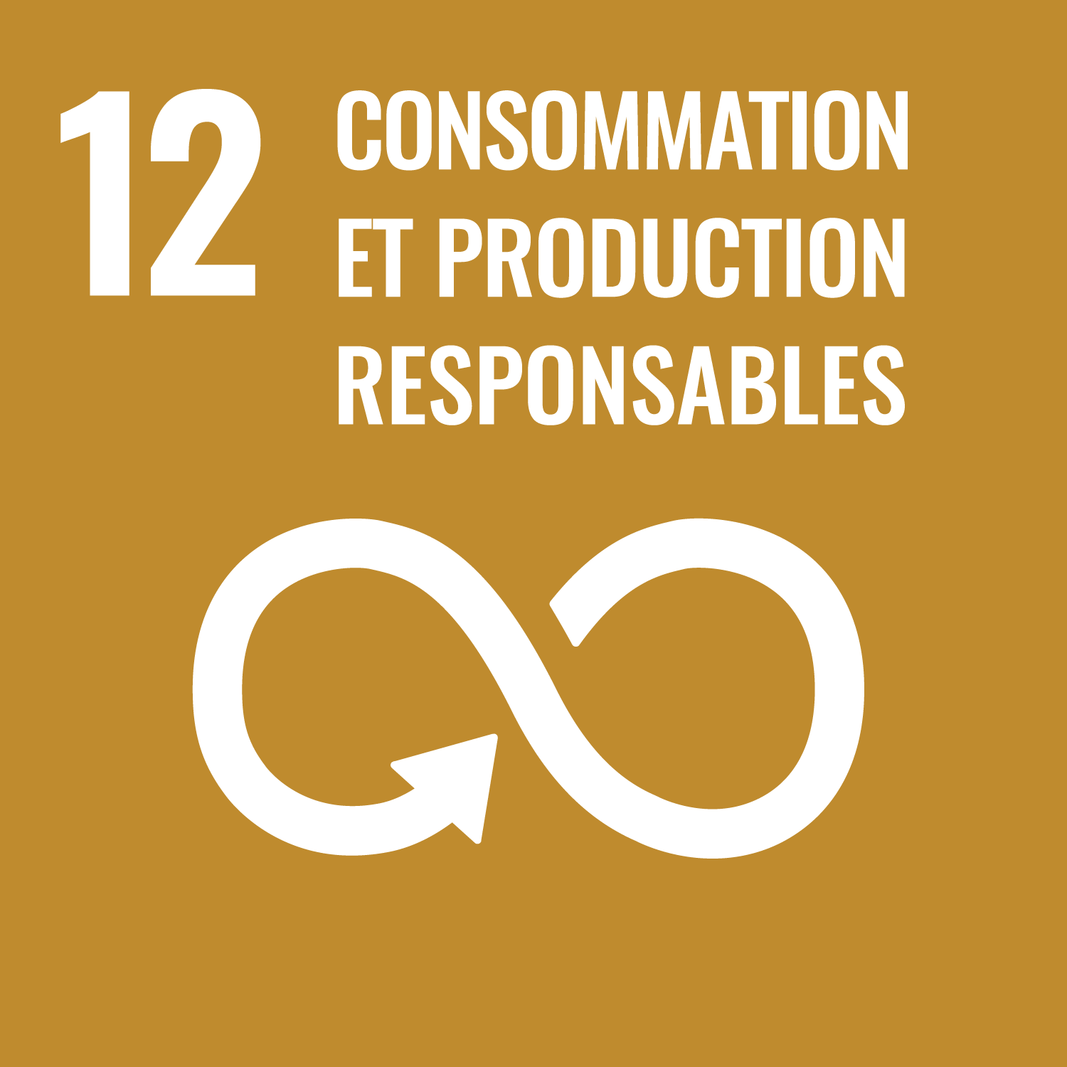 SDG Goal 12 FR - consommation et production responsables