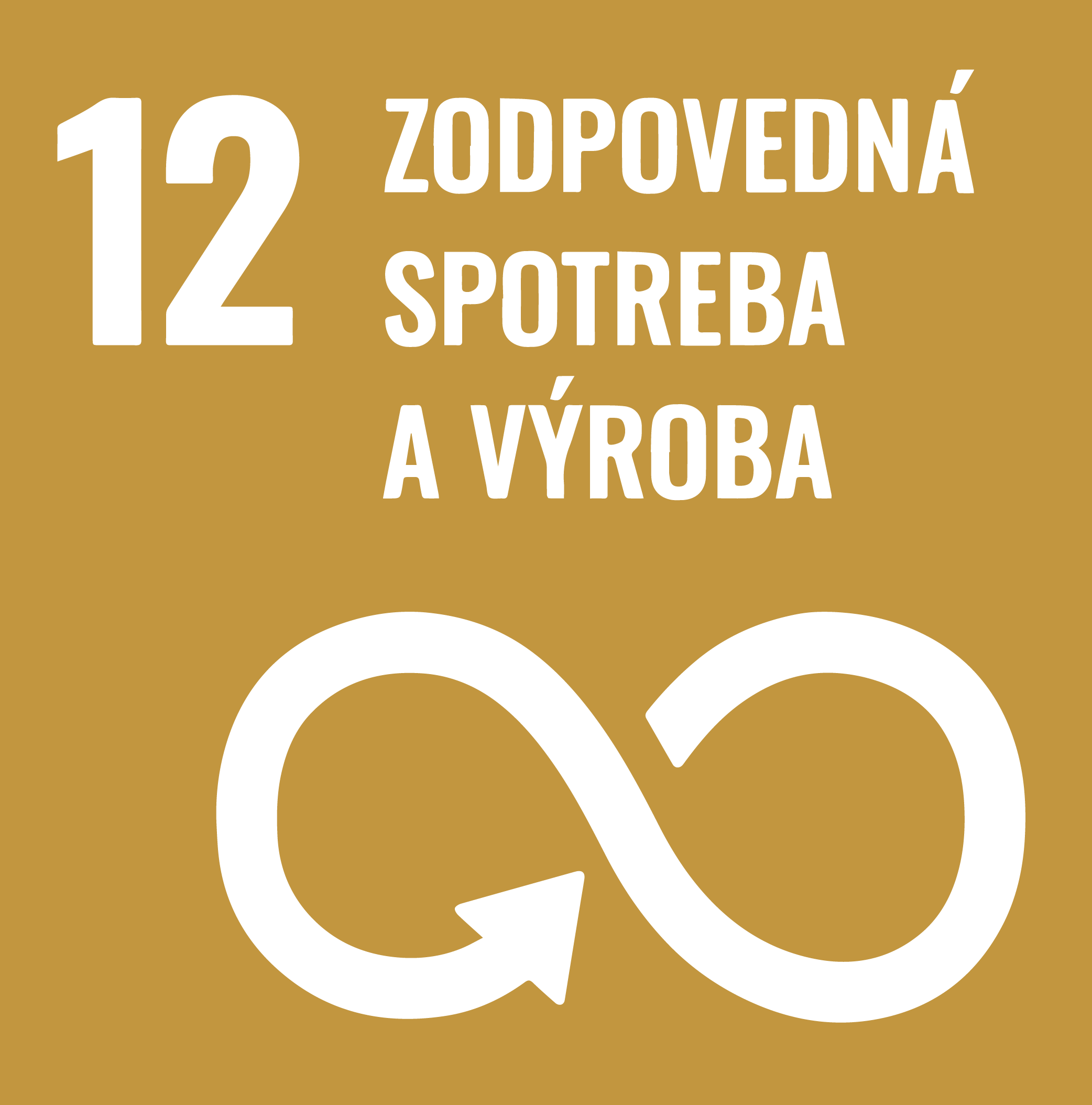 12 SDG Goal_sk